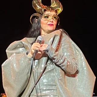 Image of Björk
