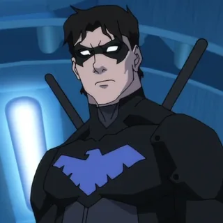 Dick Grayson / Nightwing — Young Justice (2010)