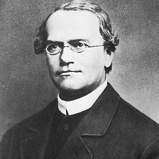 Image of Gregor Mendel