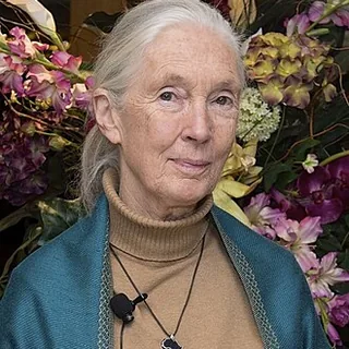 Image of Jane Goodall