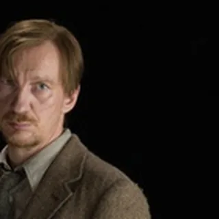 Remus Lupin — Harry Potter films